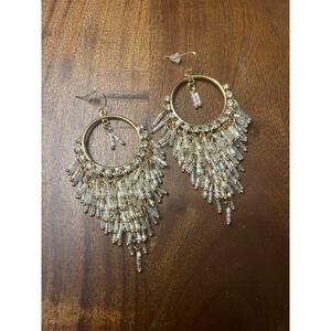 Gorgeous Women’s Crystal Chandelier Fish Hook Earrings NWT